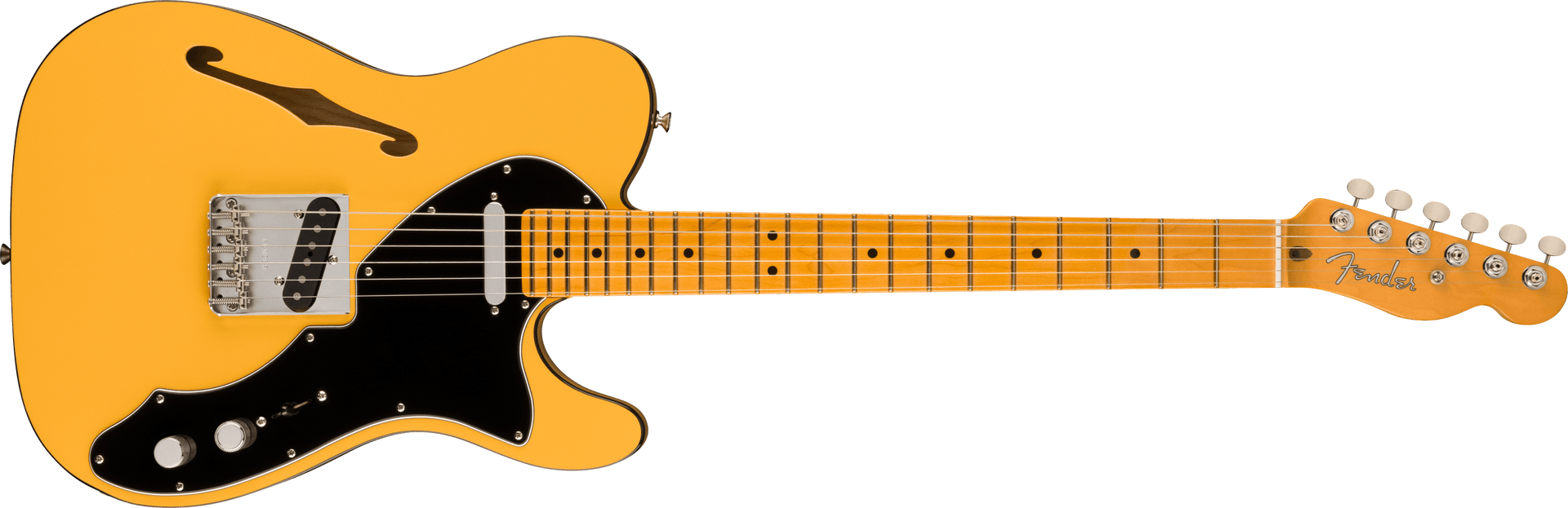 Britt Daniel Tele® Thinline – Fender