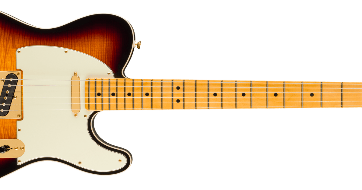 匿名希望　Fender USA Telecaster 限定　ヘッドキャップ 0171022703_fen_ins_frt_1_rr.